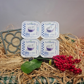 yogurt Sin Lactosa (Fageda)