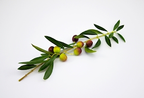 Olivas arbequina - Al peso (250 gr aprox.)