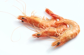 Gamba pelada 10/30 - Bandeja (500 gr aprox.)