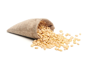 Pinyons Catalunya - Al peso (100 gr)