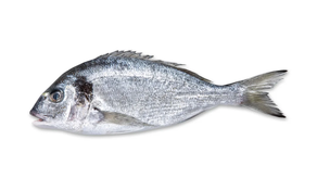 Dorada - Al peso (400 gr aprox.)