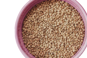 Llenties pardines - Al pes (250 gr)