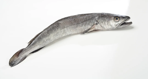 Pescadillas - Al peso (500 gr aprox.)