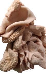 Tripa morena de ternera - Al peso (500 gr aprox.)