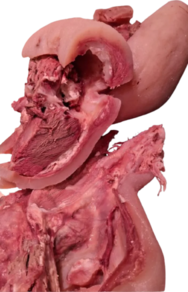 Capipota de ternera (cabeza y pata de ternera) - Al peso (250 gr aprox.)