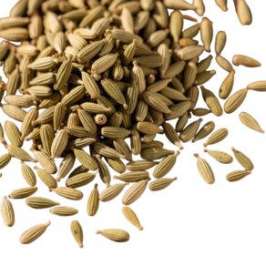 Semillas de hinojo - Al peso (50 gr)