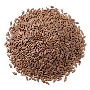 Semillas de lino marrón - Al peso (50 gr)