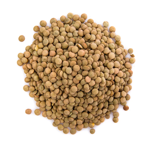 Lenteja Salamanca (250 gr aprox)