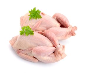 Picantón (Pieza 450 gr aprox)