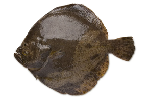 Rodaballo (Pieza 1000 gr aprox)
