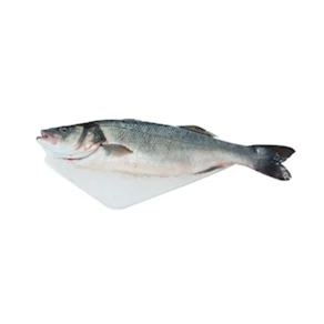 Lubina (Pieza 600 gr aprox)