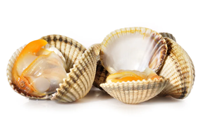 Berberecho (Bolsa 1 kg)