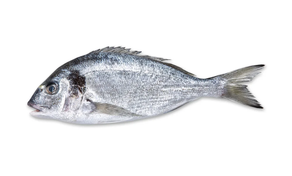 Dorada (Pieza 600 gr aprox)