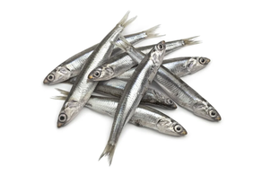 Boquerón (Ración 400 gr aprox)