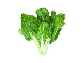 Acelga (Manojo 600 gr aprox)